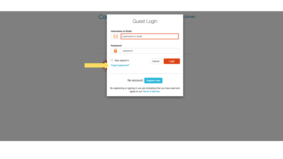 Accelerate360 Vendor Connect Forgot Password - Mobile Sunset Arts for Desktop